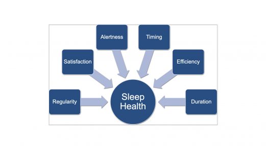 Which Of The Following Is A Component Of Sleep Health
